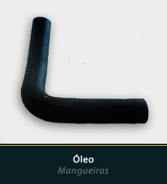mangueiras - óleo